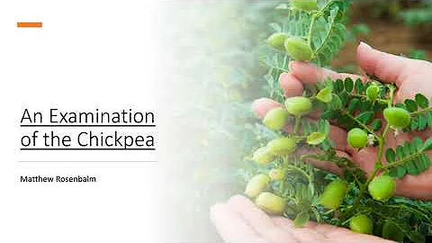World Food Pres 1 -Examination of the Chickpea
