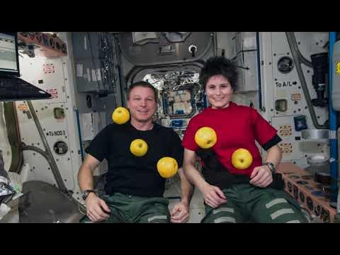 Как выглядит человек в космосе Ústav experimentální botaniky - šlechtění jabloní - YouTube