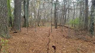 Pearl river wildlife managemet area ...