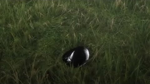 Red Dead Online × *Invisible Glitch* × 2025 (Not Patched)