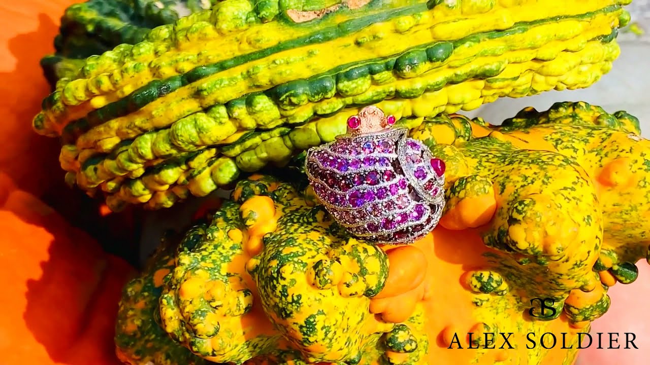 Happy Thanksgiving from Rosy The Snail! 🐌❤️