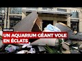 Berlin  un aquarium gant explose  rtbf info