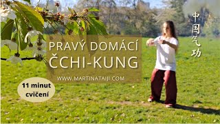 Pravý domácí čchi-kung pro všechny | Taiji Studio