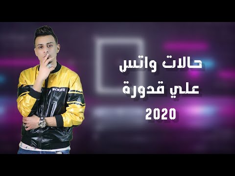 حالات واتس علي قدورة حب ايه ياعبيط 2020
