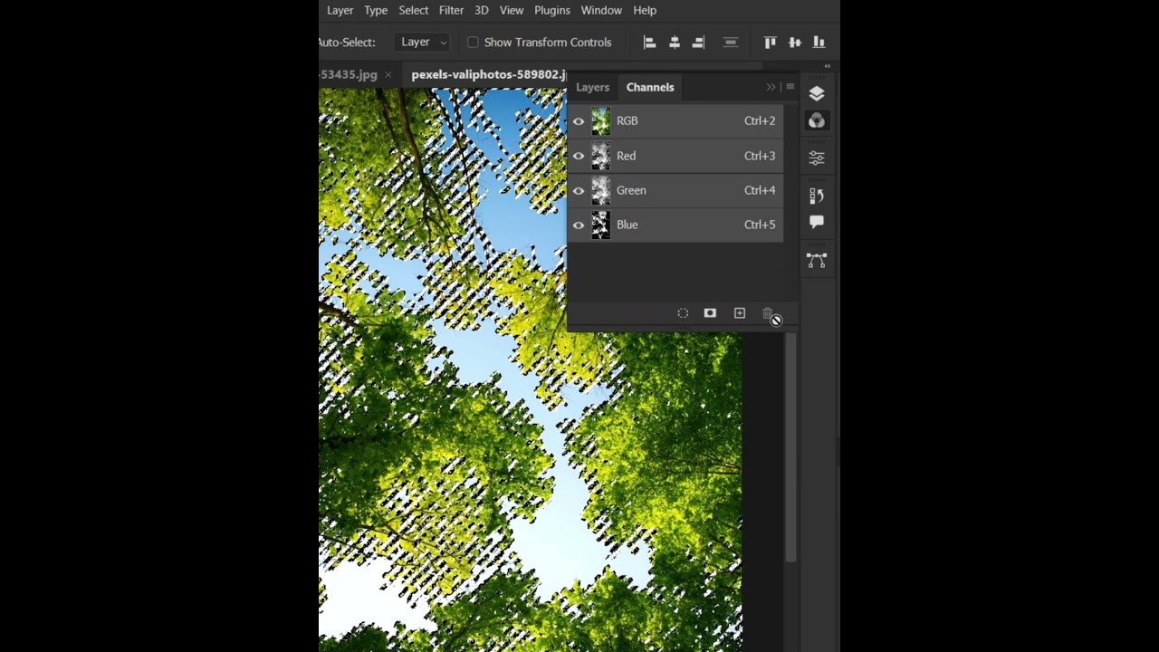 Удалить фон дерева в Photoshop 2023