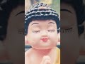 Cuty Buddha.... Buddha hi Buddha Hai #song #music #coversong #love
