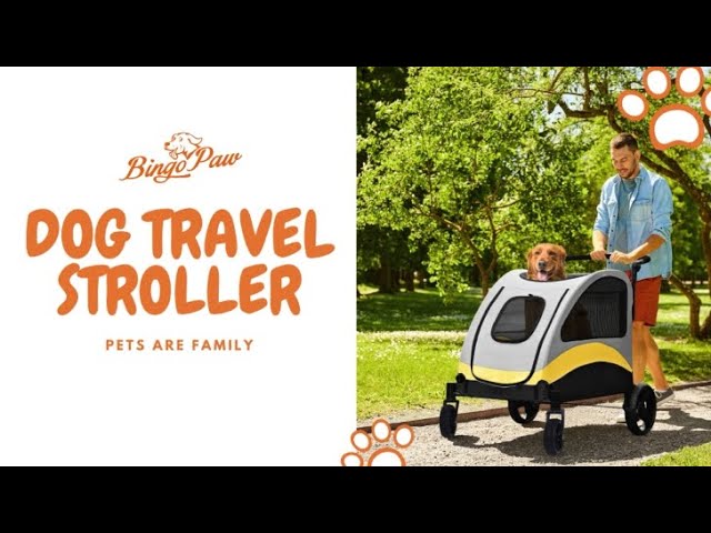 P-XL-121 XL Bingopaw Pet Stroller Shown Video - YouTube