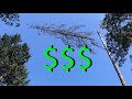 RE: Pricing for HAZARD TREEWORK