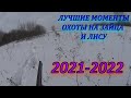 ЛУЧШИЕ МОМЕНТЫ ОХОТЫ НА ЗАЙЦА И ЛИСУ/2021-2022Г.