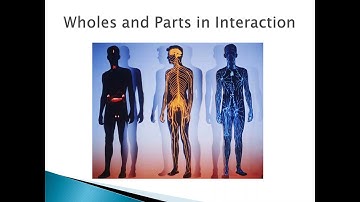Introduction to Interpretive Description Methodology