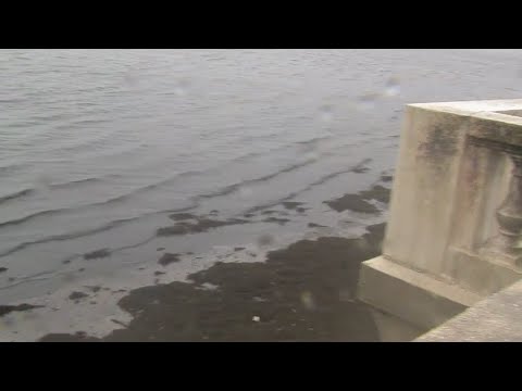 Reverse storm surge: Hurricane Ian drawing water out of Tampa Bay - YouTube