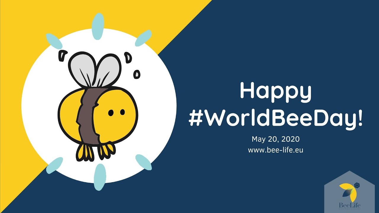 Happy World Bee Day Youtube