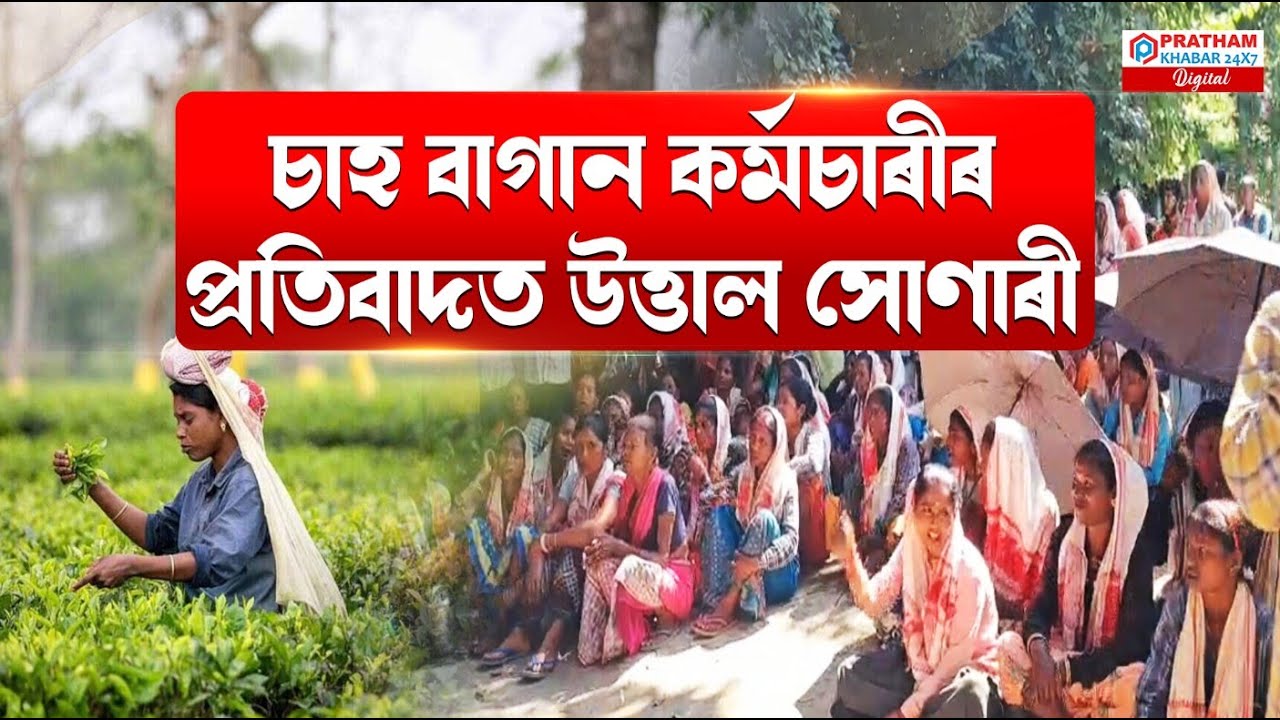 চাহ শ্ৰমিকে বাগিচা পৰিচালকৰ বিৰুদ্ধে সাব্যস্ত কৰিলে প্ৰতিবাদ