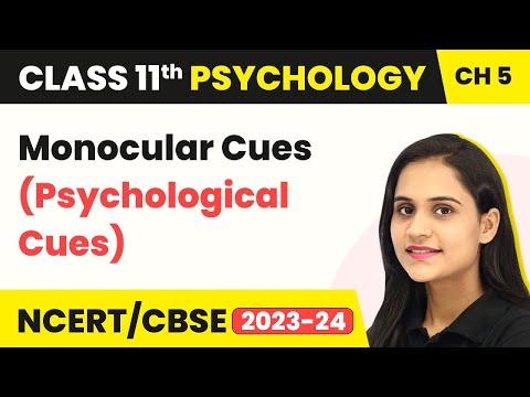 Monocular Cues (Psychological Cues) - Class 11 Psychology Chapter 5