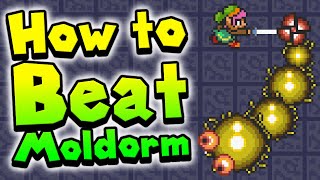 How to beat MOLDORM in Zelda: A Link to the Past (TOWER OF HERA BOSS)