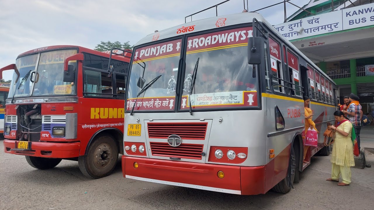 Baijnath to Palampur PUNBUS I PUNBUS Nangal Ambala cantt to Baijnath | Bus Wale Bhaiya