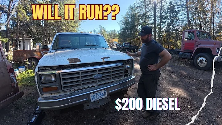 Will it run?  Abandoned since 2014...1986 Diesel F350 7.3 IDI