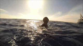 Operation Dolphin (Red Sea)