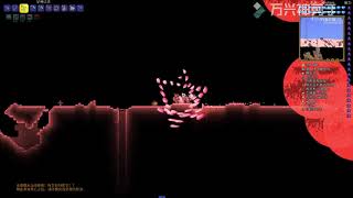 血战终灾   calamity  mod