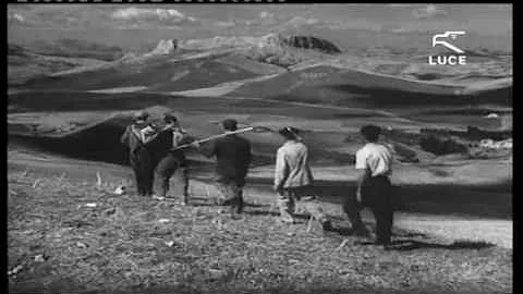 Perché l'emigrazione ancora oggi è così diffusa?