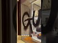 La tienda Balenciaga fue vandalizada por GUCCI 😱😱