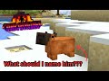 Minecraft Prominence Modpack and Polling mods for Season 1!!!