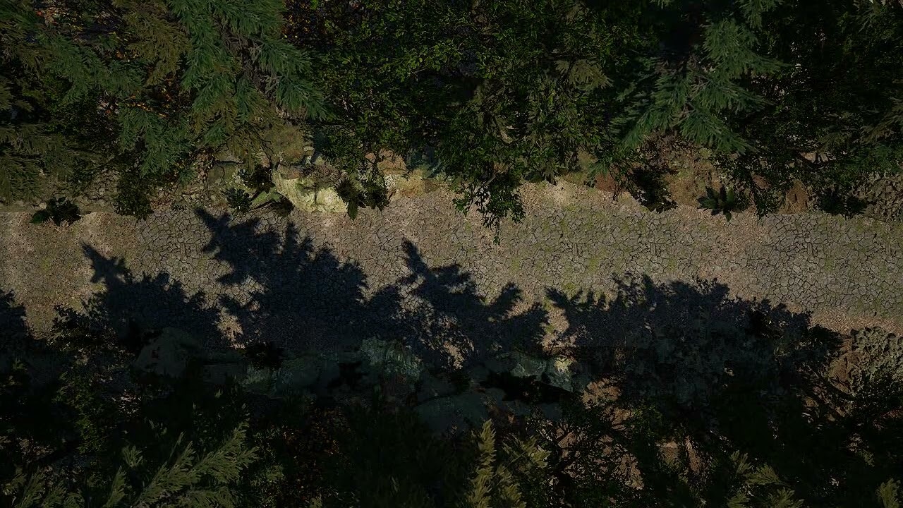 Forest Path  DND Animated Maps