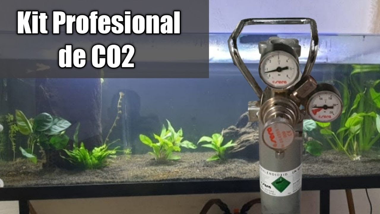 🤔¿Cómo INSTALAR un Kit Profesional de CO2 para Acuario?