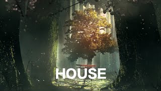 Pikasonic  Asuka zoverze Remix  Tik Tok 013 