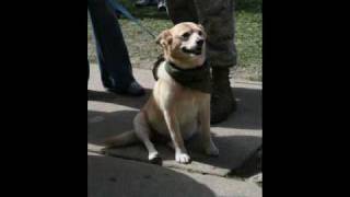 2/24 Marines Weapons Co. Deployment 2007/Sep16 (Revised)