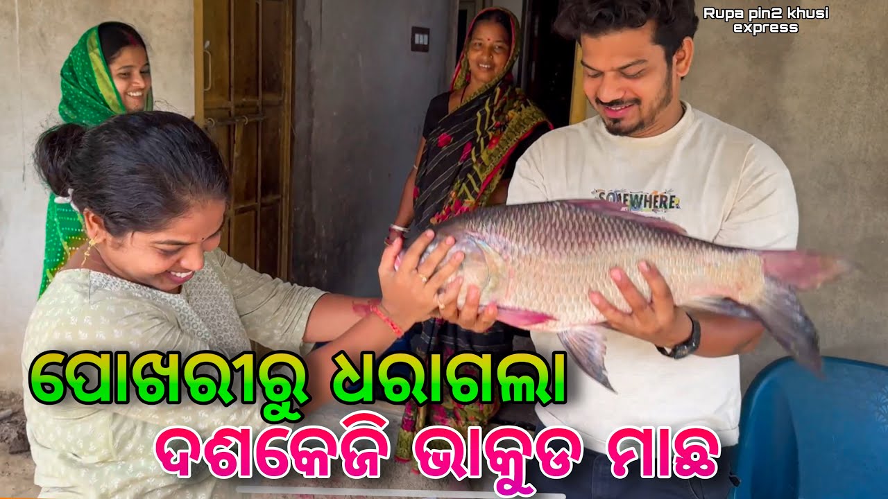 ପୋଖରୀରୁ ଧରାଗଲା ଦଶକେଜି ଭାକୁଡ ମାଛ / Rupa Pin2 Khushi