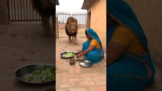 Brave Cat Saves Desi Aunty