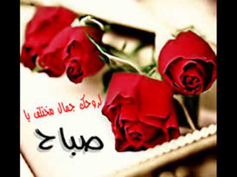 حايرة عمر ورافي