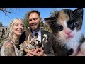 The cutest surprise at our animalfriendly wedding