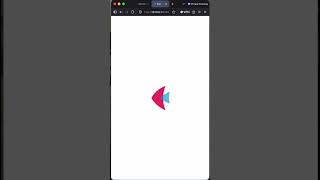 Does Flet Run Locally Python Desktop App Test