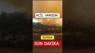 Son Dakika Bursada Çıkan Orman Yangını Şiddetli Bir Şekilde Devam Ediyor