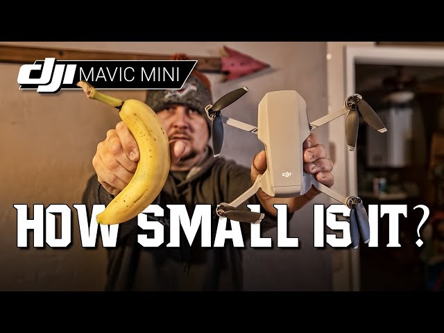 DJI Mavic Mini / How SMALL is it? / Size Comparison to Common Objects