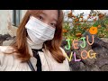 제주여행 브이로그  ep.1  |  5박6일여행 / 뚜벅이여행 / 제주 올레5코스 / 서귀포 / 카페팡송 / 미소가펜션 /아침브런치 /크리스마스이브