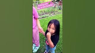My gkid realized how my plants important pea 🫛 | Boholanong Canadian Vlog