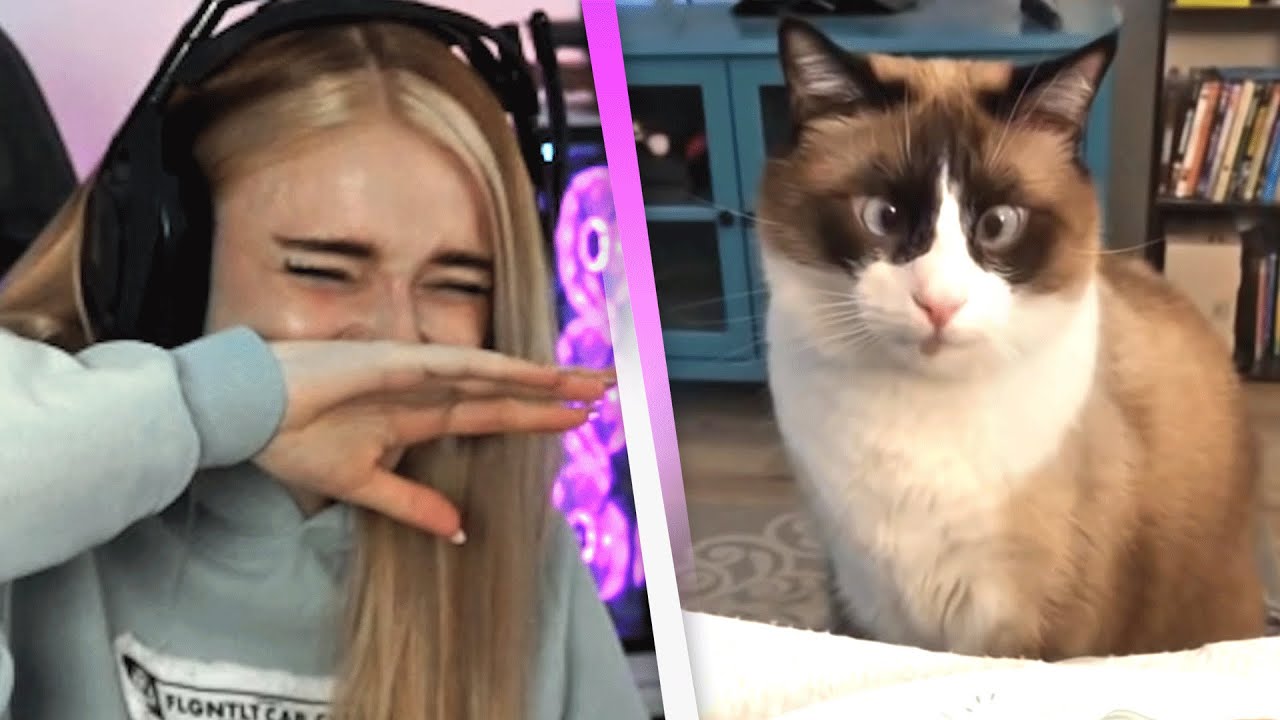 TRY NOT TO LAUGH 1.0 😂 | Reaktion