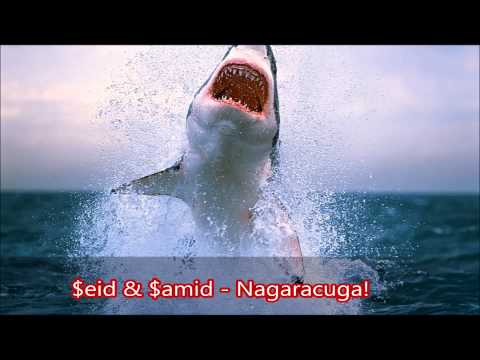 Seid & Samid - Nagaracuga (RemiX)