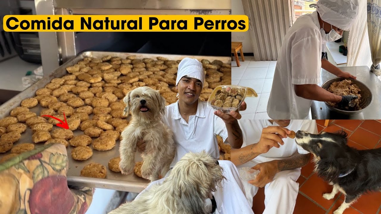 UNA RECETA MILLONARIA LO LLEVÓ A CREAR SU PROPIO NEGOCIO😱 Para perros