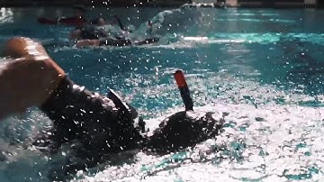 Welcome to the Living Dichotomy