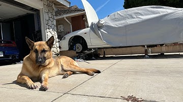 OVERHAUL’D Pt. 2: Integra Type R | Timing Belt, Water Pump