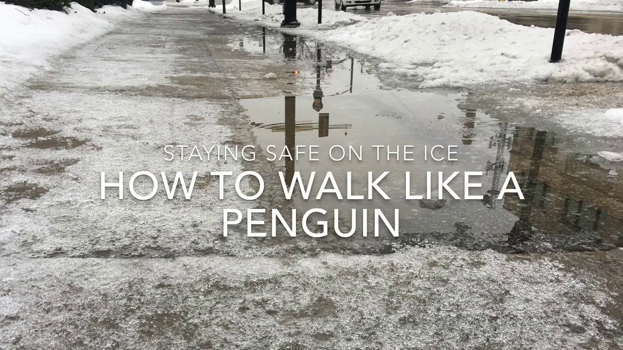 Icy Sidewalks Walk like a Penguin Icy Sidewalks Walk like a Penguin new pictures Icy Sidewalks Walk like a Penguin Icy Sidewalks Walk like a Penguin new images
