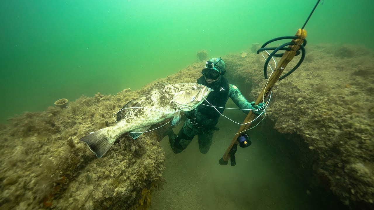 Spearfishing for GIANT Grouper In Ocean!! (Dangerous shot)