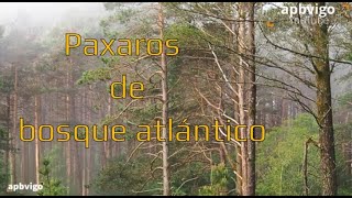 Aves do Alto de Fontefría, xuño de 2022