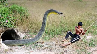 Primitive Technology - Easy Snake Trap With Plastic Basket Catch Big Snake 100% by da ra 22,102 views 2 years ago 6 minutes, 58 seconds