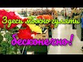 ДОМАШНИЙ ДЕКОР❤HOBBY LOBBY❤ИЩУ ДЕКОРАЦИИ ДЛЯ ДОМА (307)