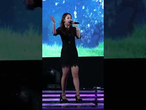 정혜린 <strong>메들리</strong>/<strong>이미자</strong> 히트곡 [세로직캠] 동백아가씨/아씨/섬마을 선생님/ 녹동바다 불꽃축제 2022 #정혜린 #이미자히트곡메들리 #정혜린직캠